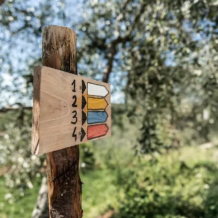Terre Di Cocomo *