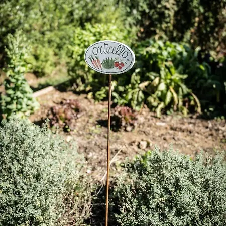 Terre Di Cocomo * Borgo a Buggiano