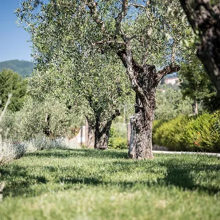 Κατάλυμα σε φάρμα Terre Di Cocomo